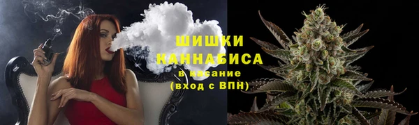 дживик Мегион