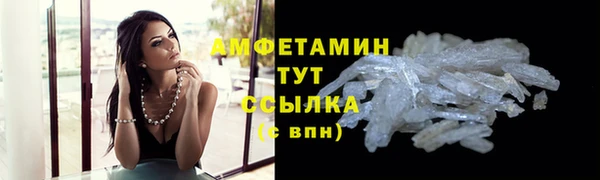 дживик Мегион