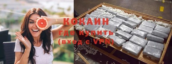 винт Ельня
