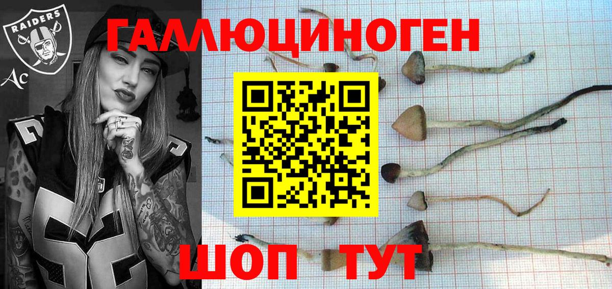 Галлюциногенные грибы Cubensis  Вход с VPN  Бор  Псилоцибиновые грибы MAGIC MUSHROOMS 