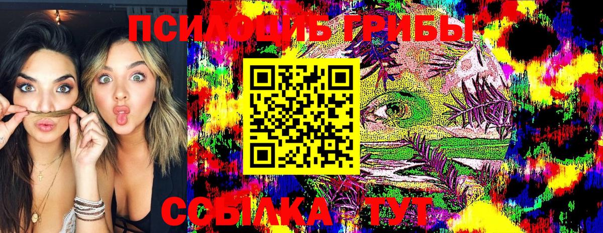 Галлюциногенные грибы Psilocybine cubensis Бор