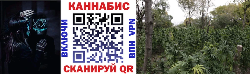 как найти закладки  Бор  mega tor  Марихуана индика 